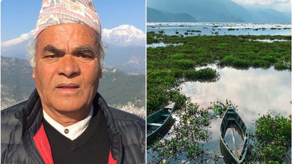 बेवारिसे फेवाताल : सधैं दलको चुनावी मुद्दा