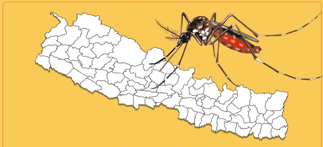 सरकारकै बेवास्ताका कारण बढ्यो डेंगुको प्रकोप साढे १७ हजार जनामा संक्रमण पुष्टि,