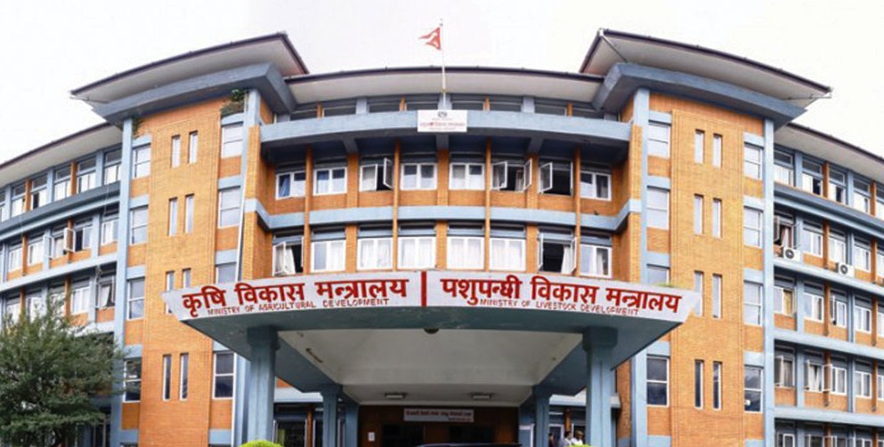 पिपिआर प्लेक्सोथ्रपिक डेन्जे  चाडको अवसरमा ८ लाख ३३ हजार ४ सय मात्रा खोप निर्यात भएको छ।