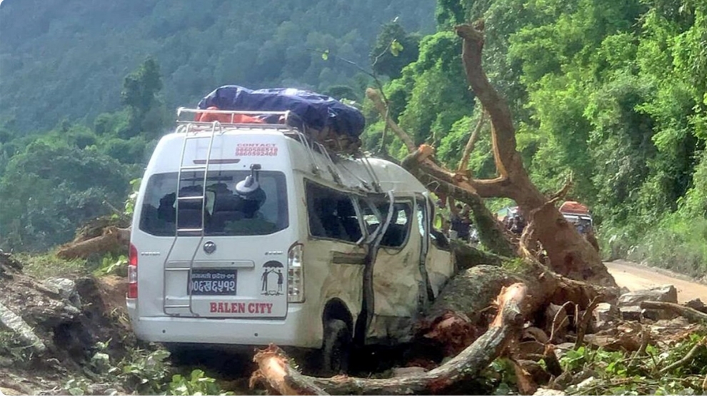 गुडिरहेको माइक्रोमाथि रूख ढल्दा नौ जना घाइते