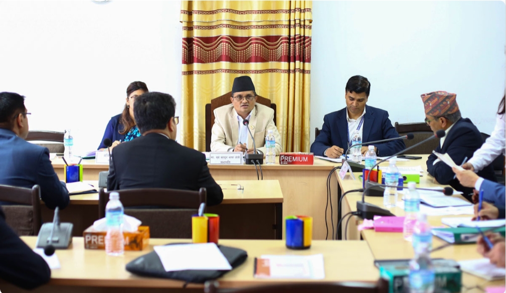 संसदीय समितिले लिन थाल्यो ठगीमा संलग्न सहकारी सञ्चालकहरूको बयान