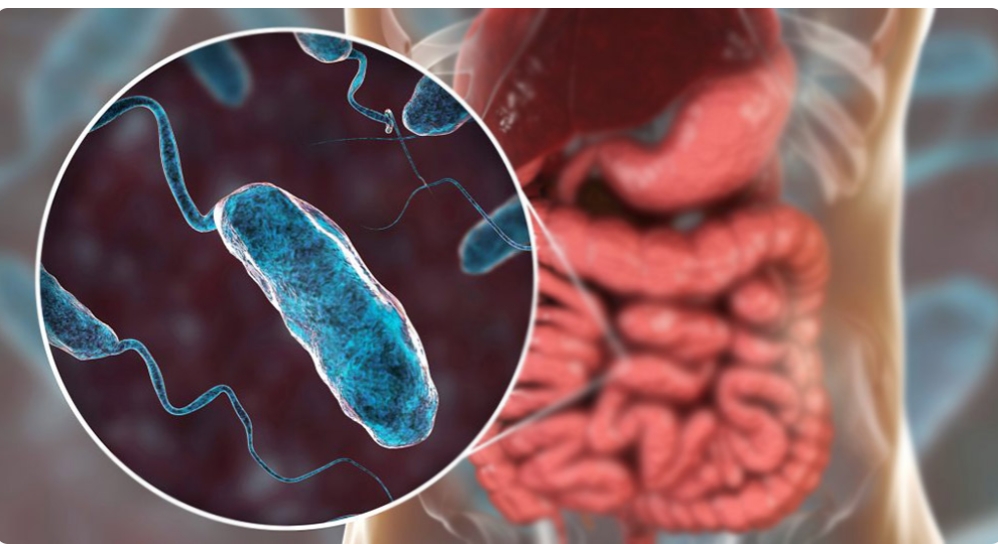 बैतडीमा हैजाको जोखिम बढ्दै गएकाले यहाँका खानेपानीको नमूना सङ्कलन गरिएको छ