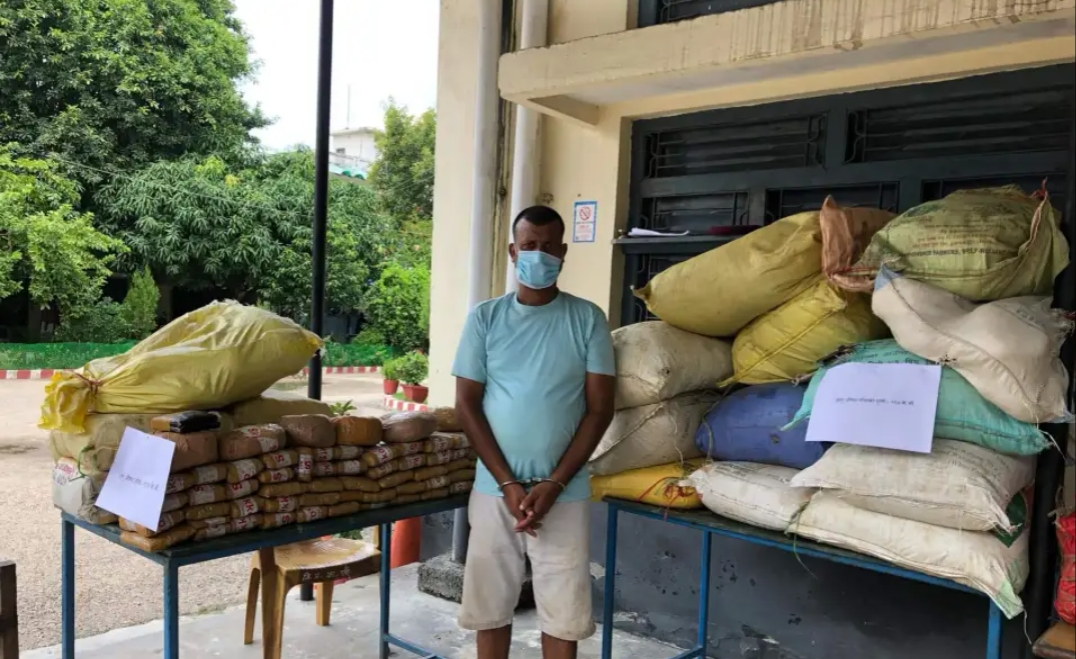 ठूलो परिमाणमा लागुऔषध गाँजा र चरेस बरामद