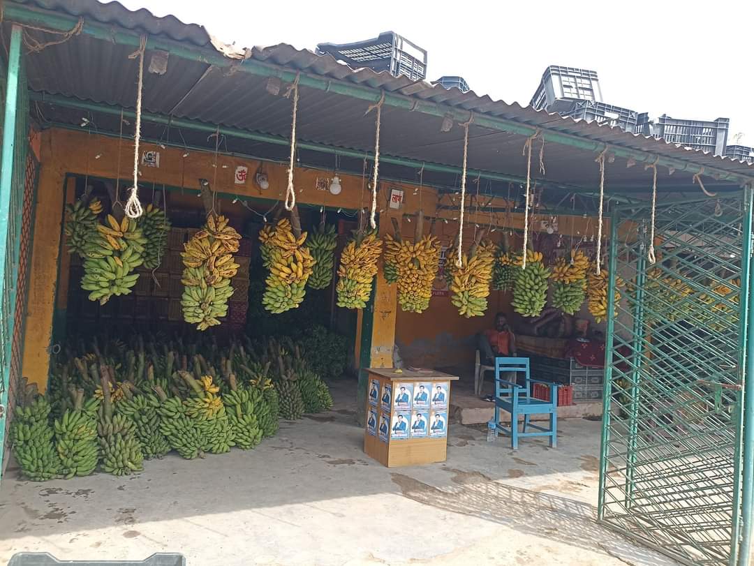 जनकपुरधामको फलफूल मन्डीमा छठ पर्वको लागि केरा बिक्रीमा