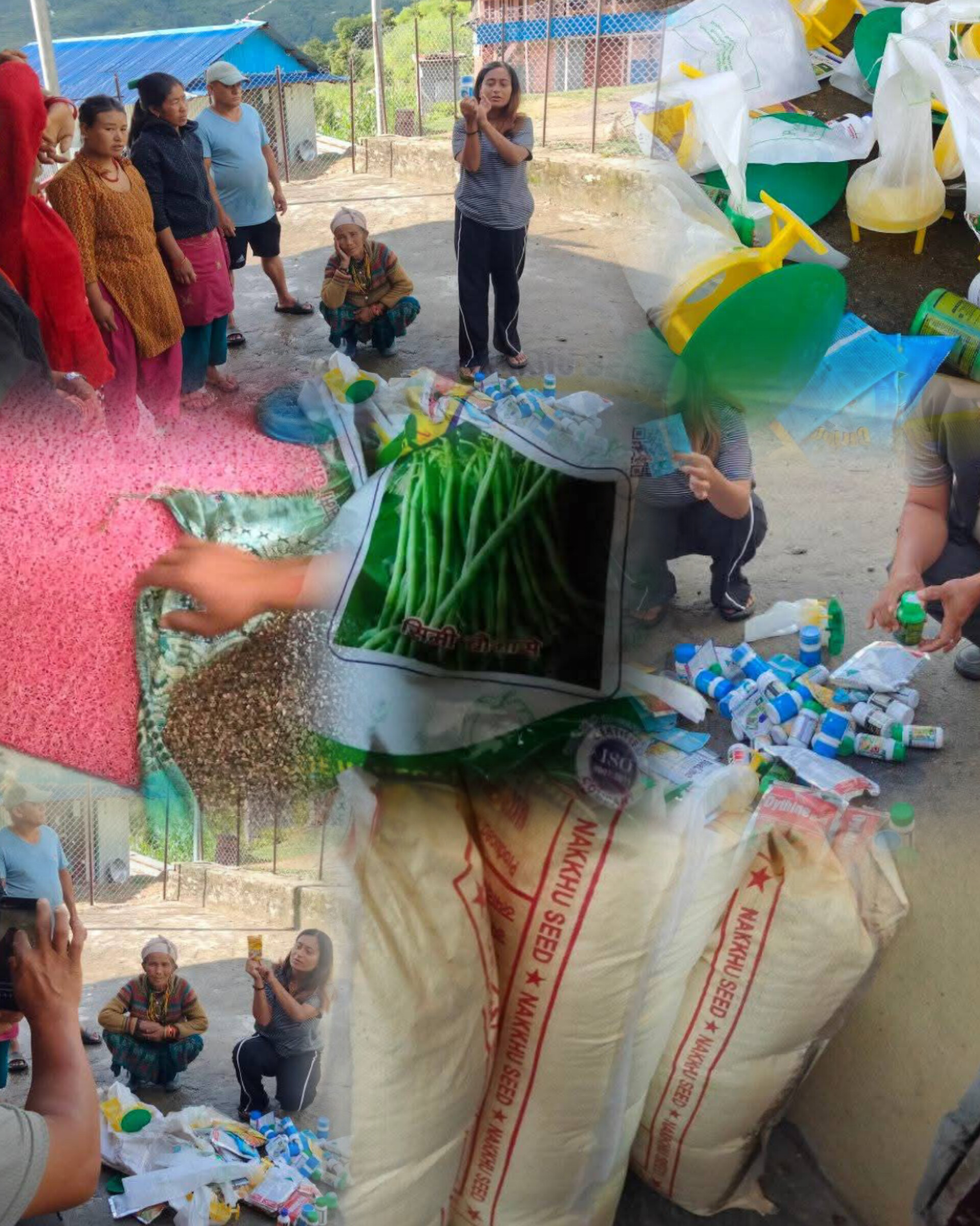 कालिन्चोकमा रैथाने वाली प्रवर्द्धन र जलवायुमैत्री कृषि प्रविधिको अभिमुखीकरण कार्यक्रम सम्पन्न